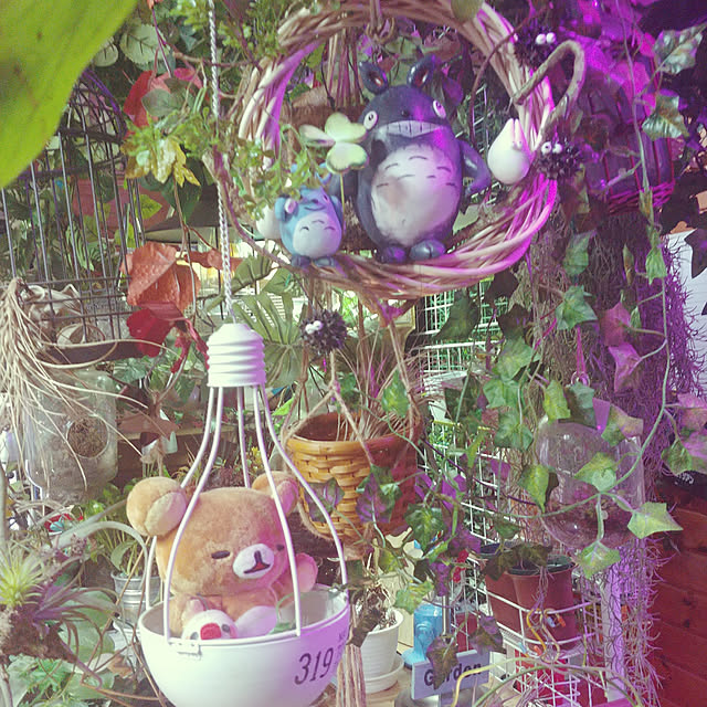hiro4649さんの実例写真