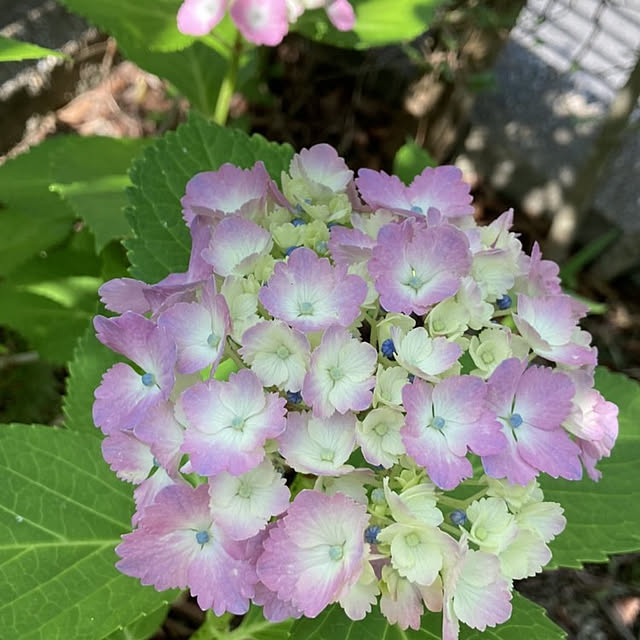 min_nimさんの実例写真