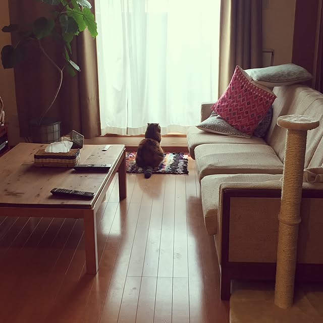 ymmtさんの実例写真