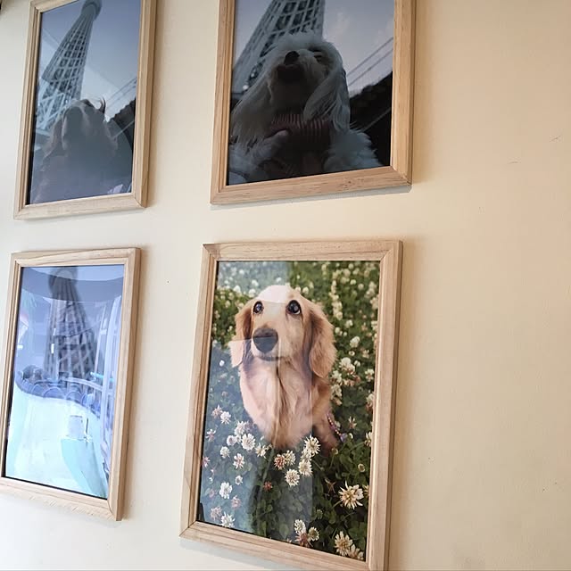 konohaさんの実例写真