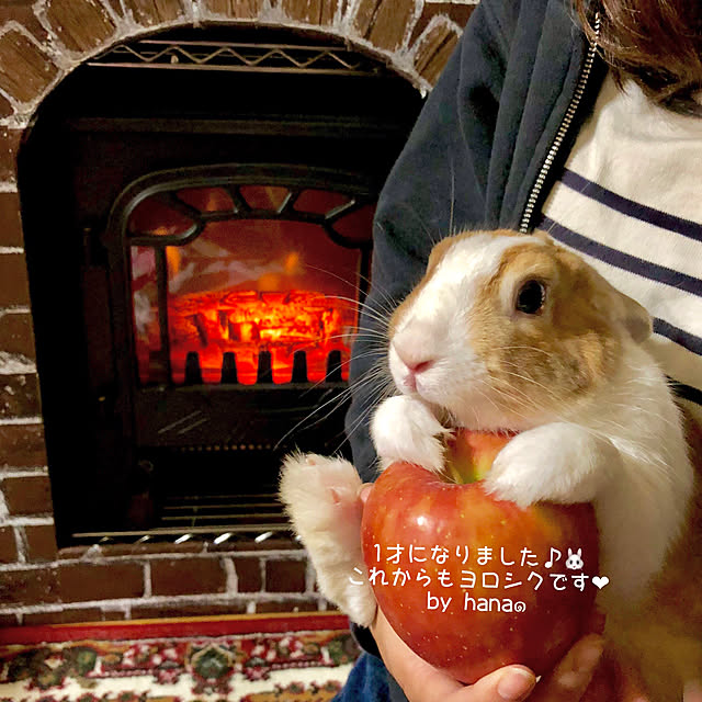 muuさんの実例写真