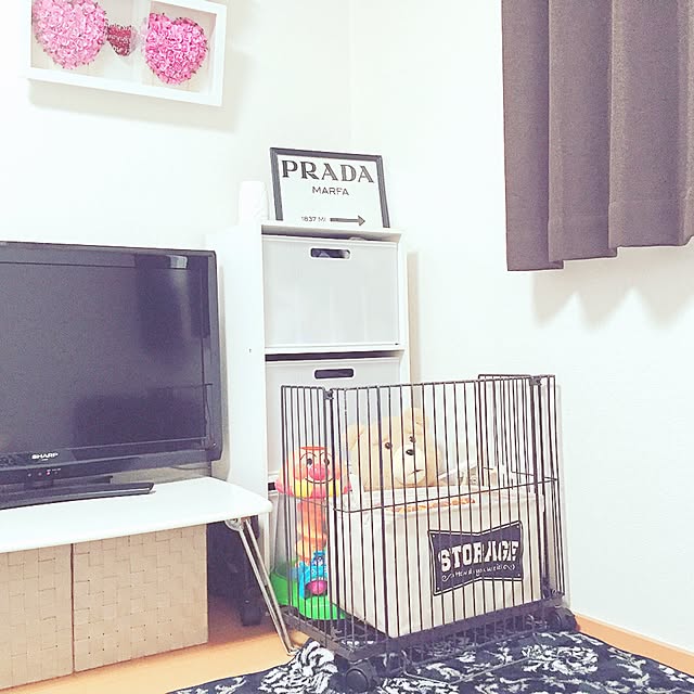 rika123さんの実例写真