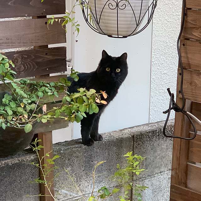 masakoさんの部屋