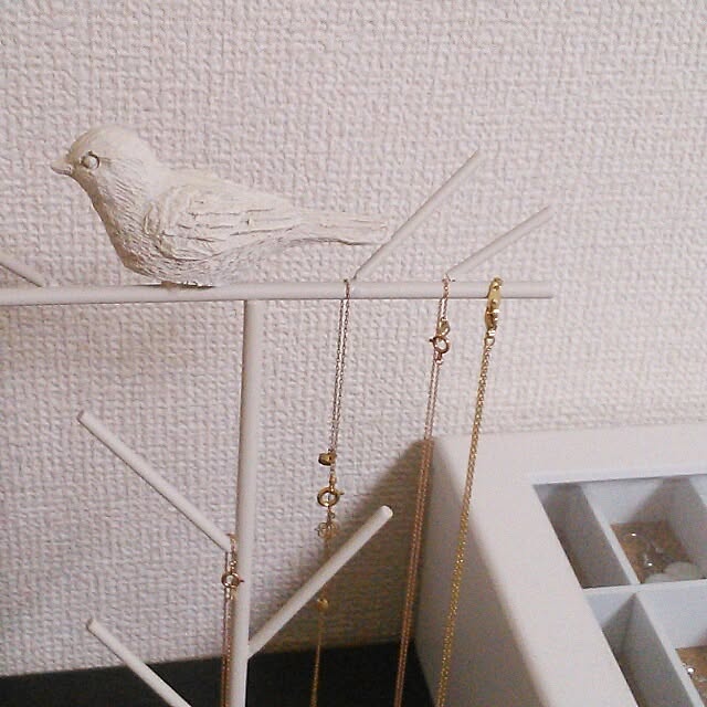 akiさんの実例写真