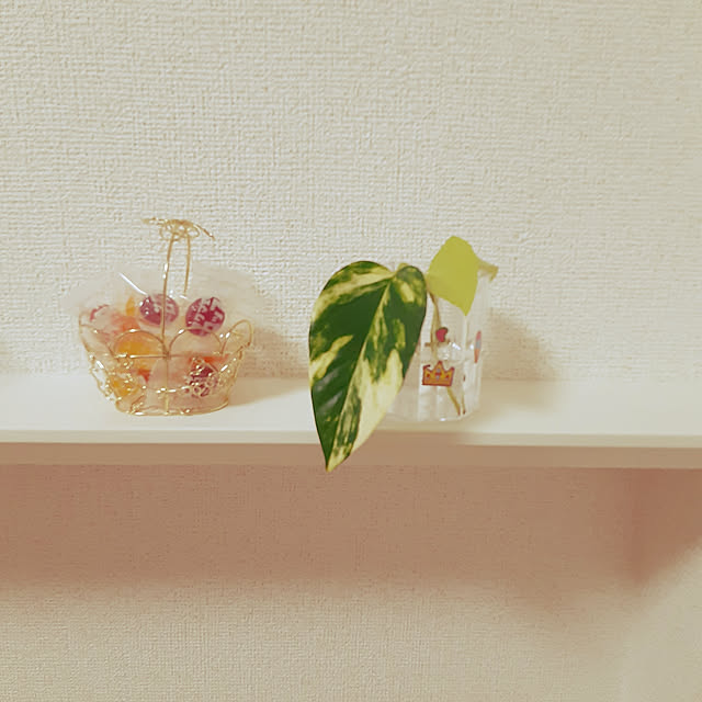mujiさんの実例写真