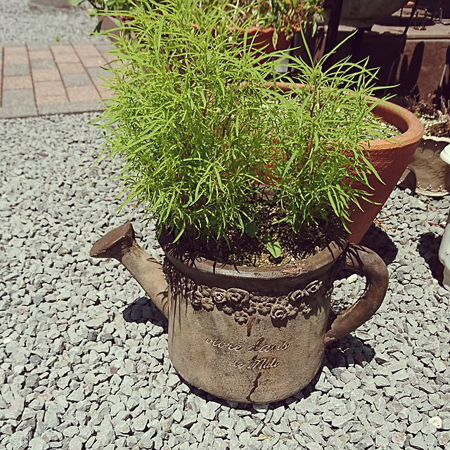 moco.nさんの実例写真