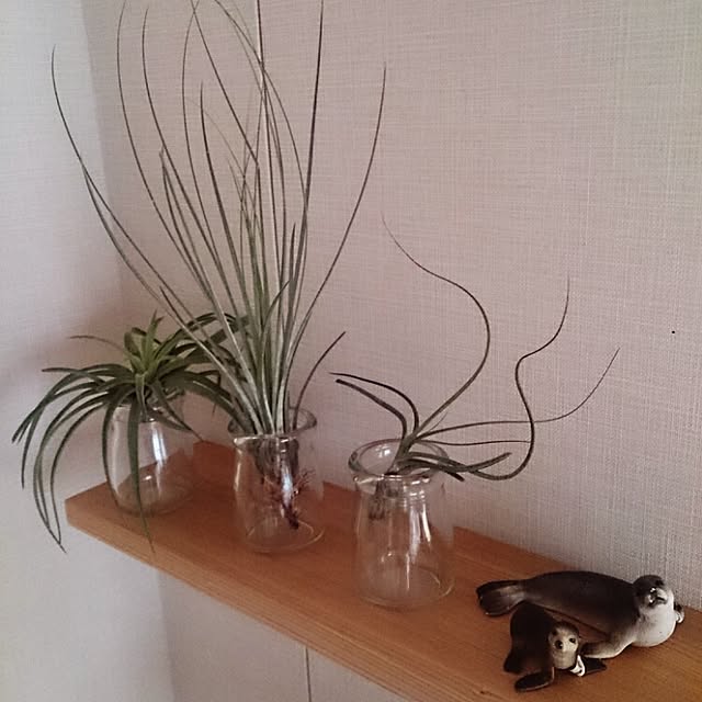 abeさんの実例写真