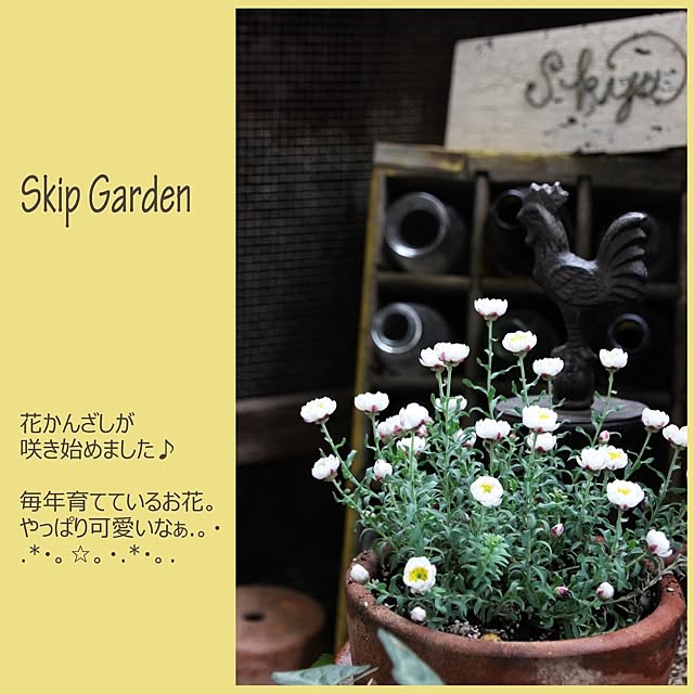 RIKAさんの実例写真