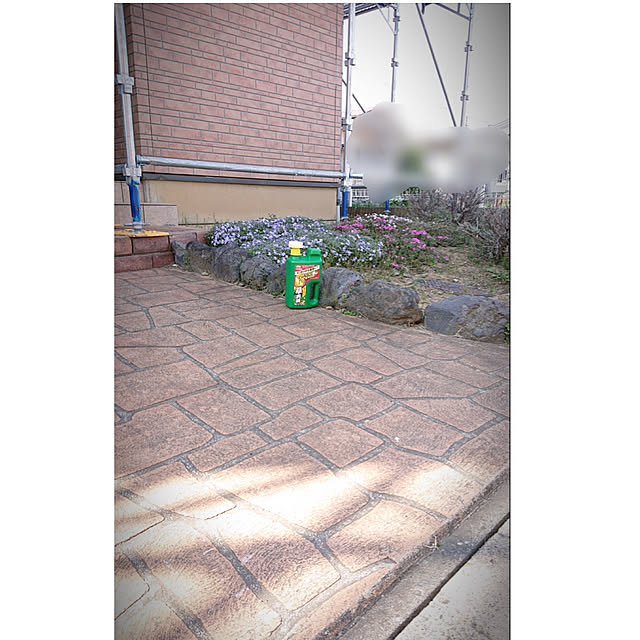 yukkin29さんの実例写真