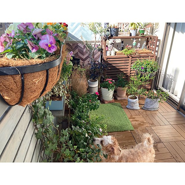 marukoさんの部屋