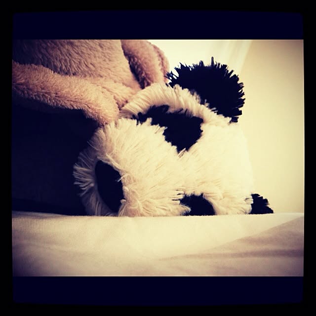 pandaさんの実例写真