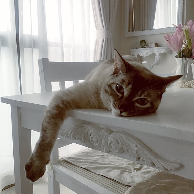 noelさんの実例写真