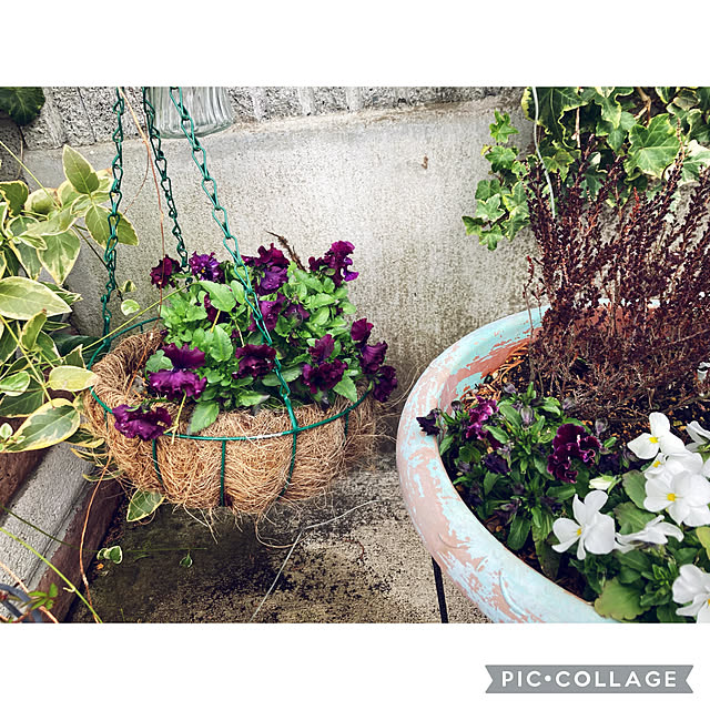 CoCo0617さんの部屋
