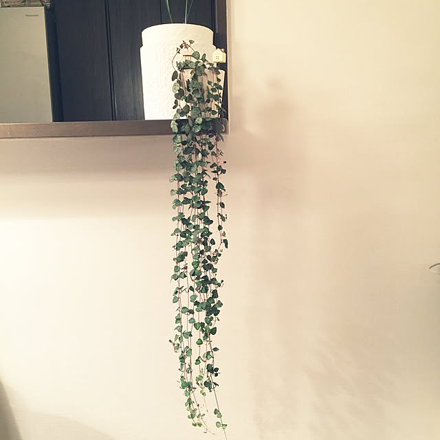 HKSさんの実例写真
