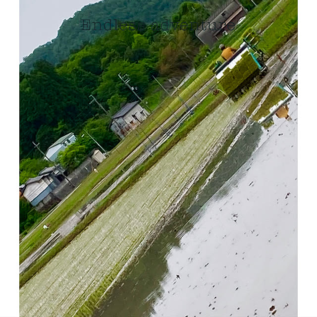 cota2さんの実例写真