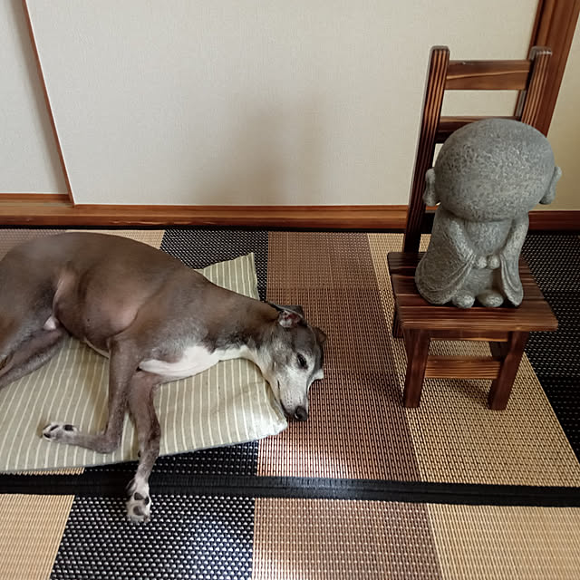 moruさんの実例写真