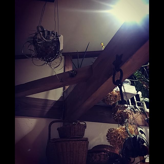 abandonedmineさんの実例写真