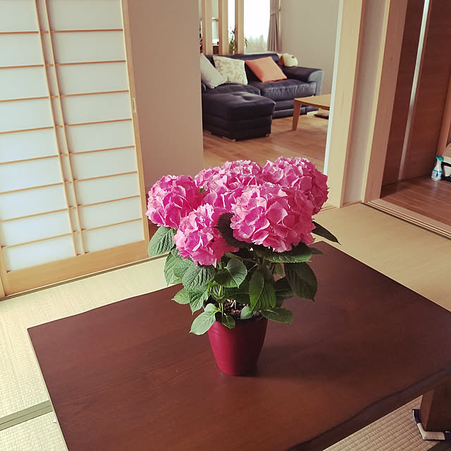 部屋全体のインテリア実例 - 2018-11-06 23:23:20