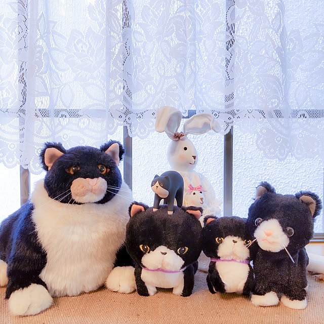 faunさんの実例写真