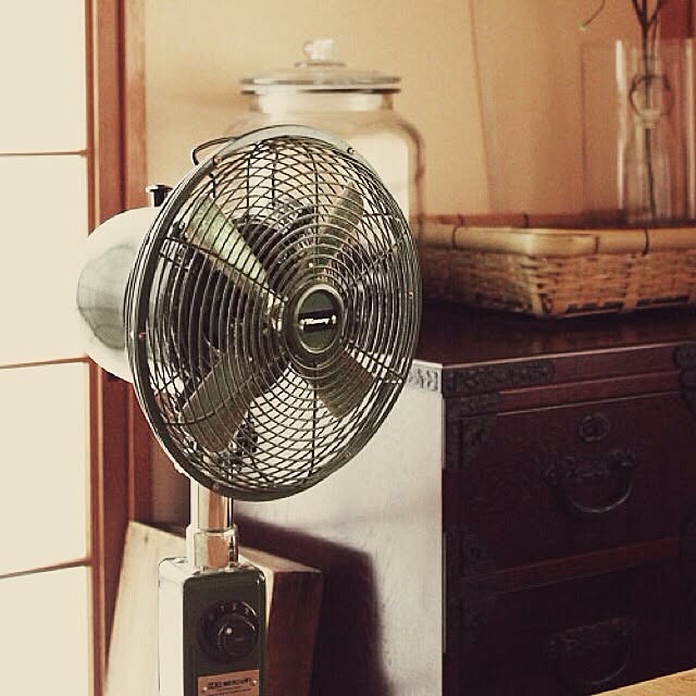 DailyRoomclip