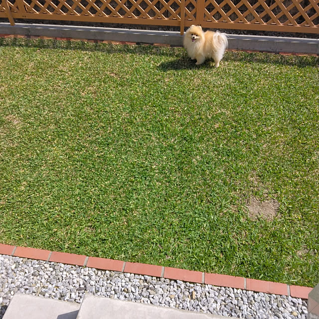 moyoさんの実例写真