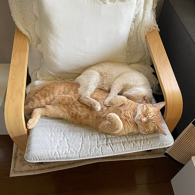 himetanさんの実例写真