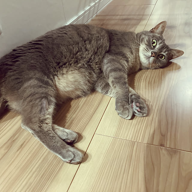 Roby1018さんの実例写真