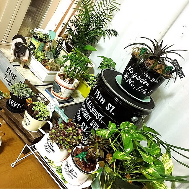 nomixstoryさんの実例写真