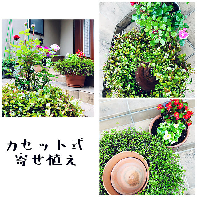 NAOさんの実例写真