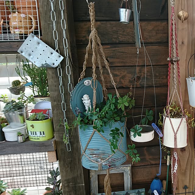 pocoさんの実例写真