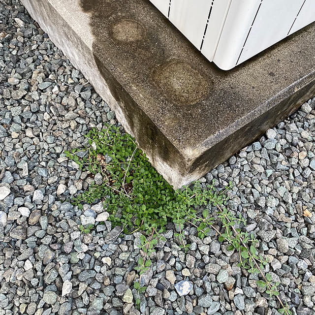 komaさんの部屋