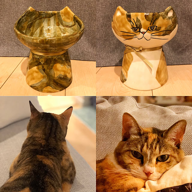 Chihiroさんの実例写真