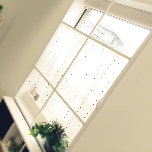 y_mommyさんの実例写真