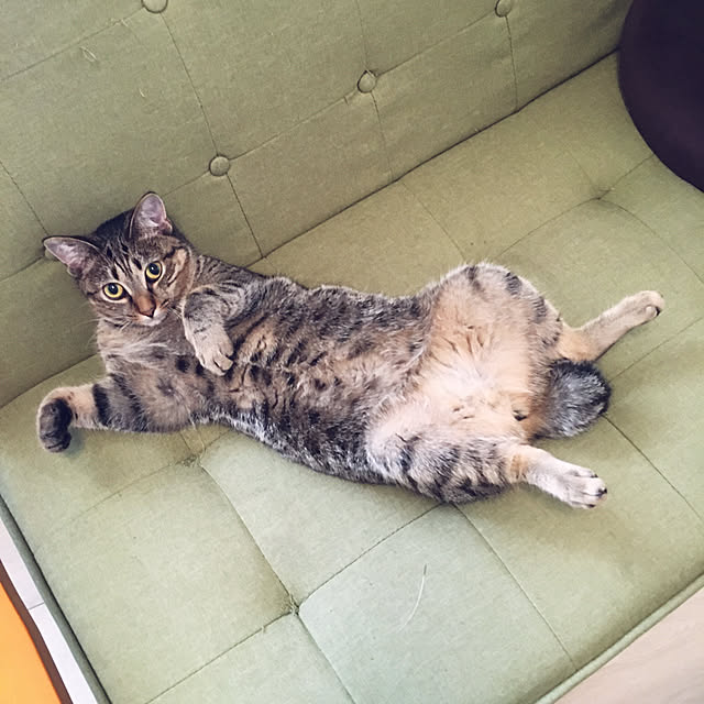 Mさんの実例写真