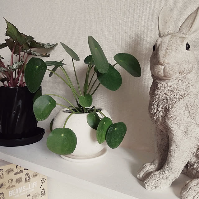 coco.Apartmanさんの実例写真