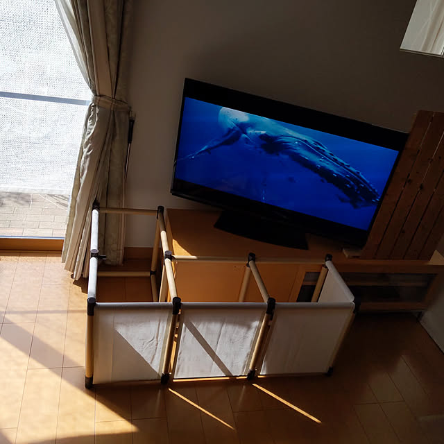 noraさんの実例写真