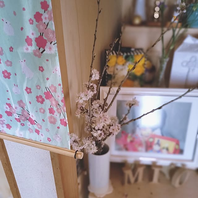 mash-room.aeさんの部屋