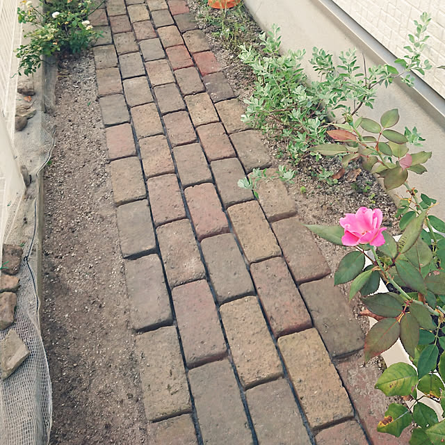 Bienvenueさんの実例写真