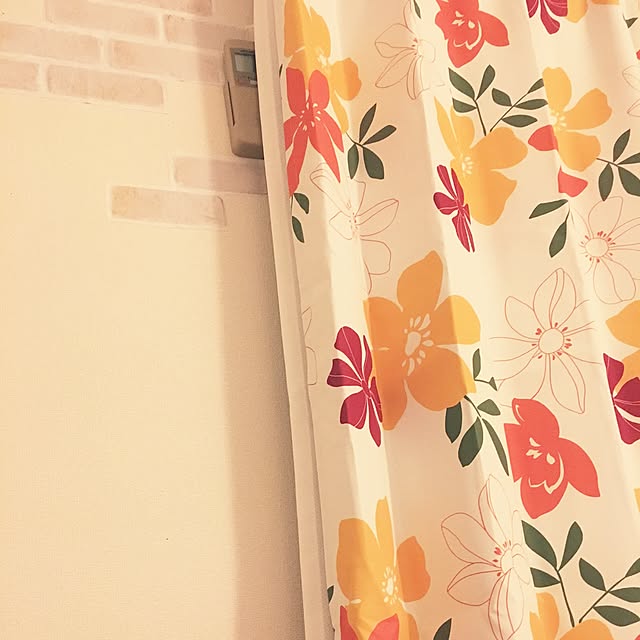 Kanaさんの実例写真