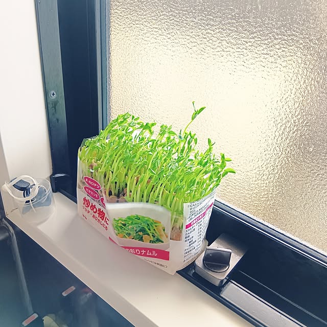 Spicaさんの部屋