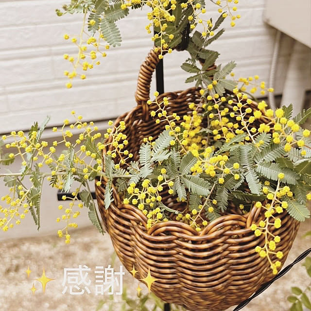 sariさんの部屋