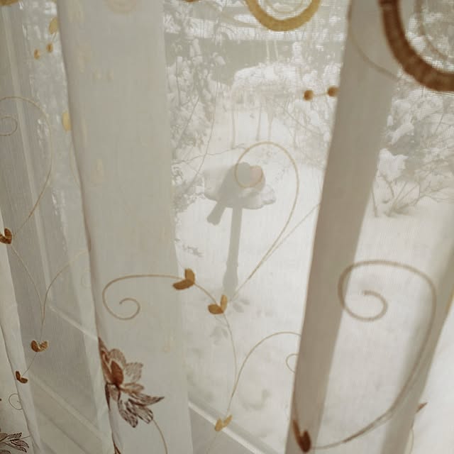 Hujikoさんの部屋