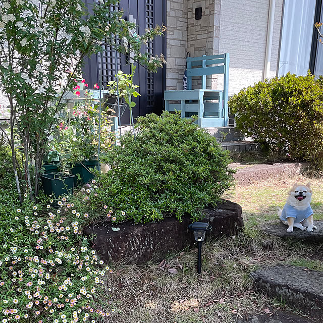 natsumiさんの部屋