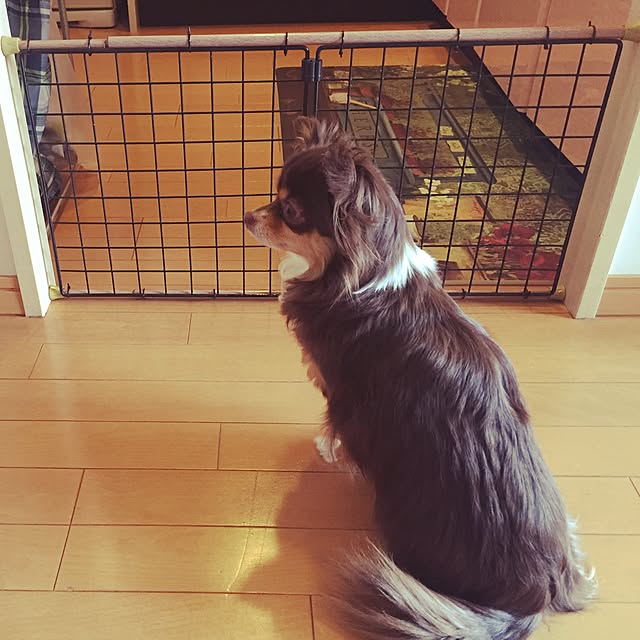 arinkoさんの実例写真