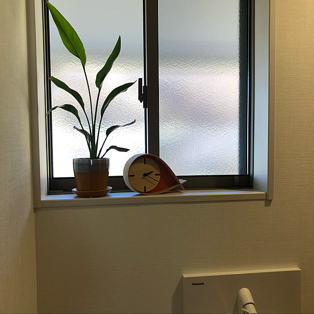 gizmoさんの実例写真