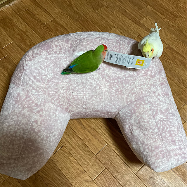 toratanさんの実例写真