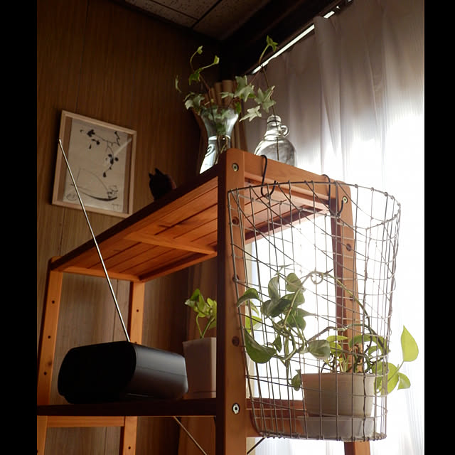kikukanaさんの実例写真