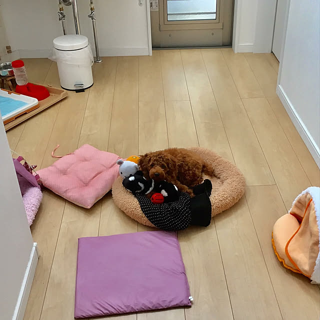 MOMOMAMAさんの実例写真