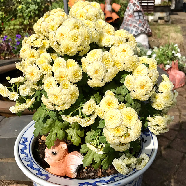 ankoさんの実例写真