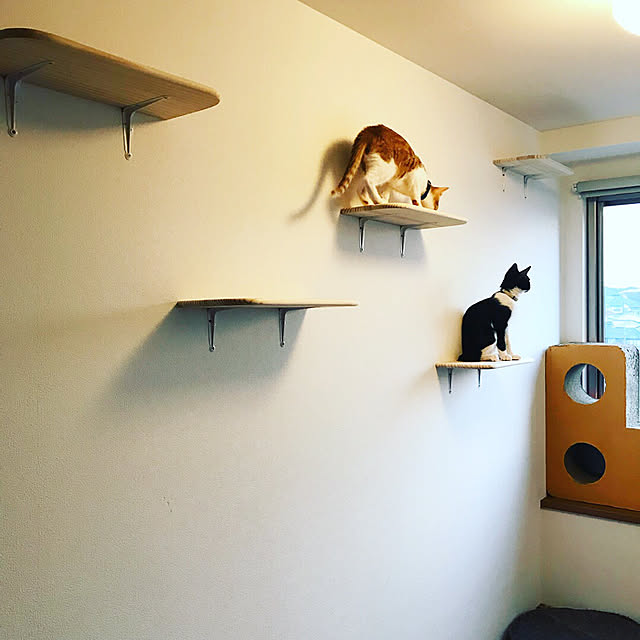 y.さんの実例写真